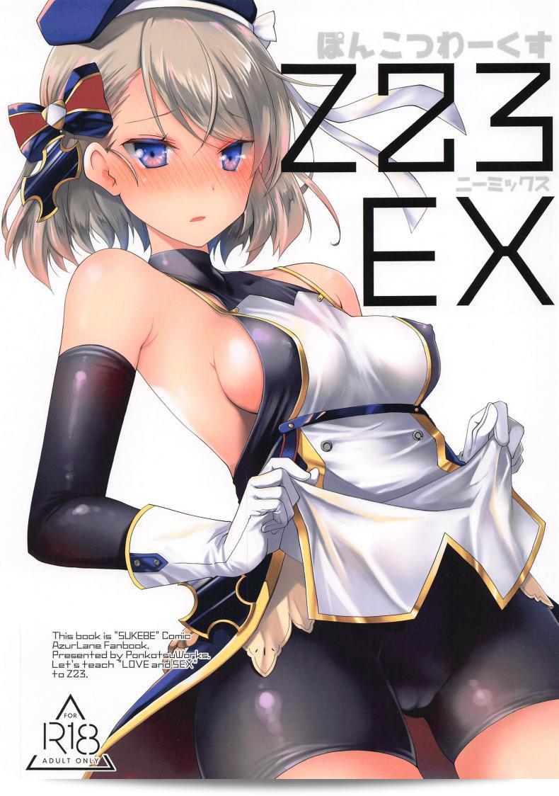 คุณสนใจสินค้า [Ponkotsu Works] Z23EX หรือเปล่าคะ? 1